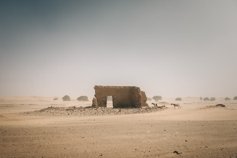 Africa's Last Colony 2